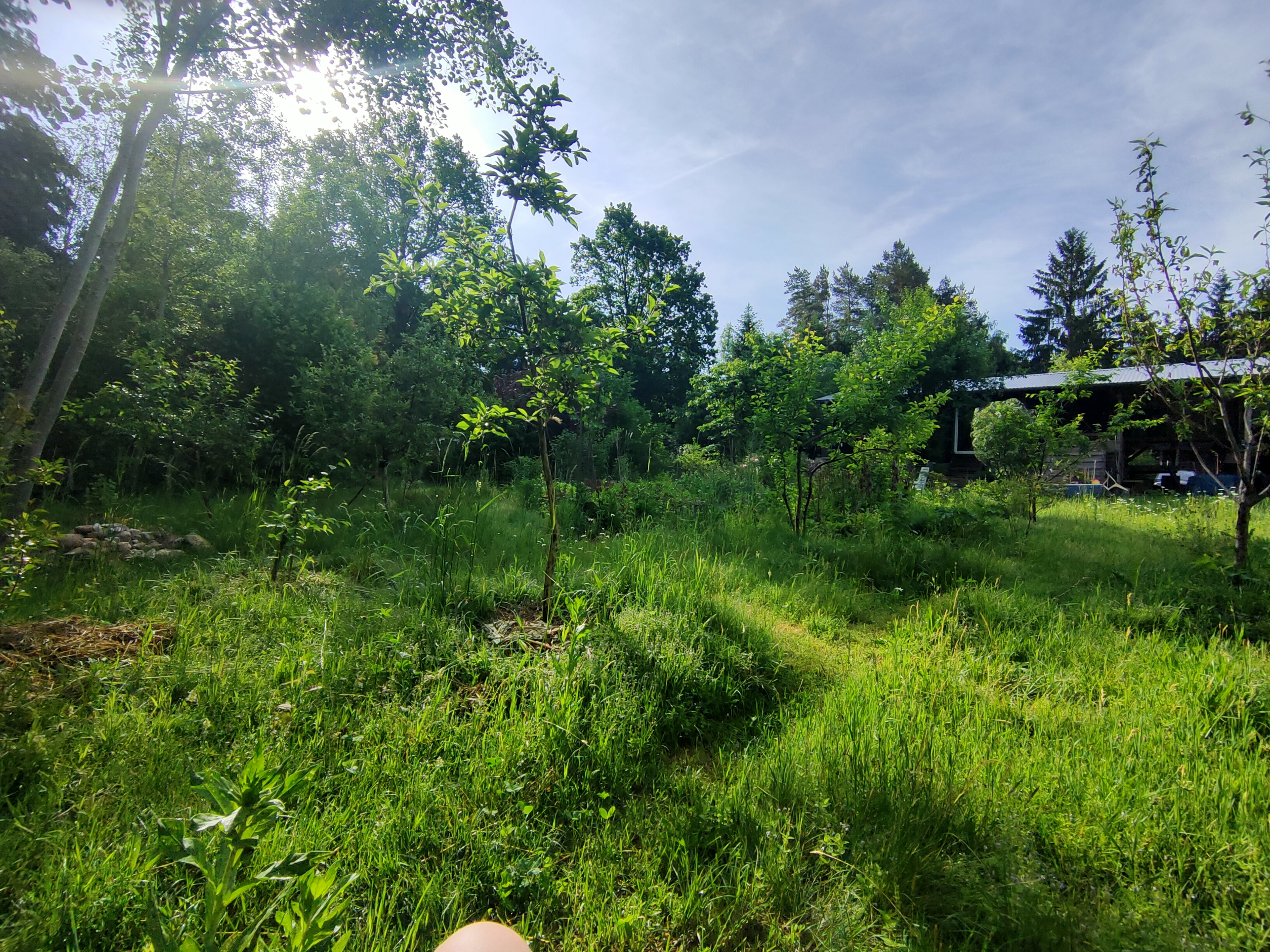Sitzplatz mit Tisch und Stühlen im Waldgarten