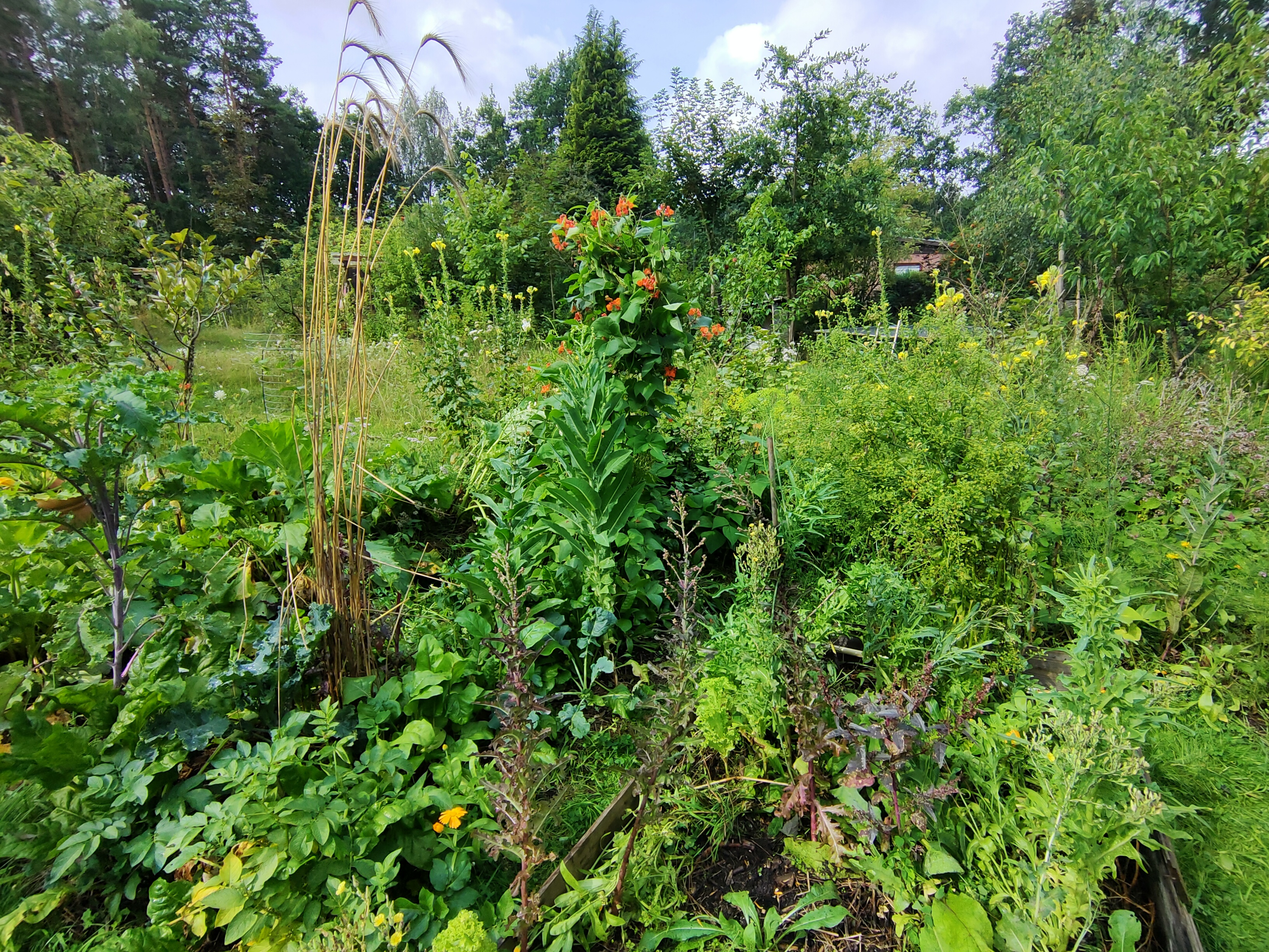 Menschen arbeiten gemeinsam im Waldgarten