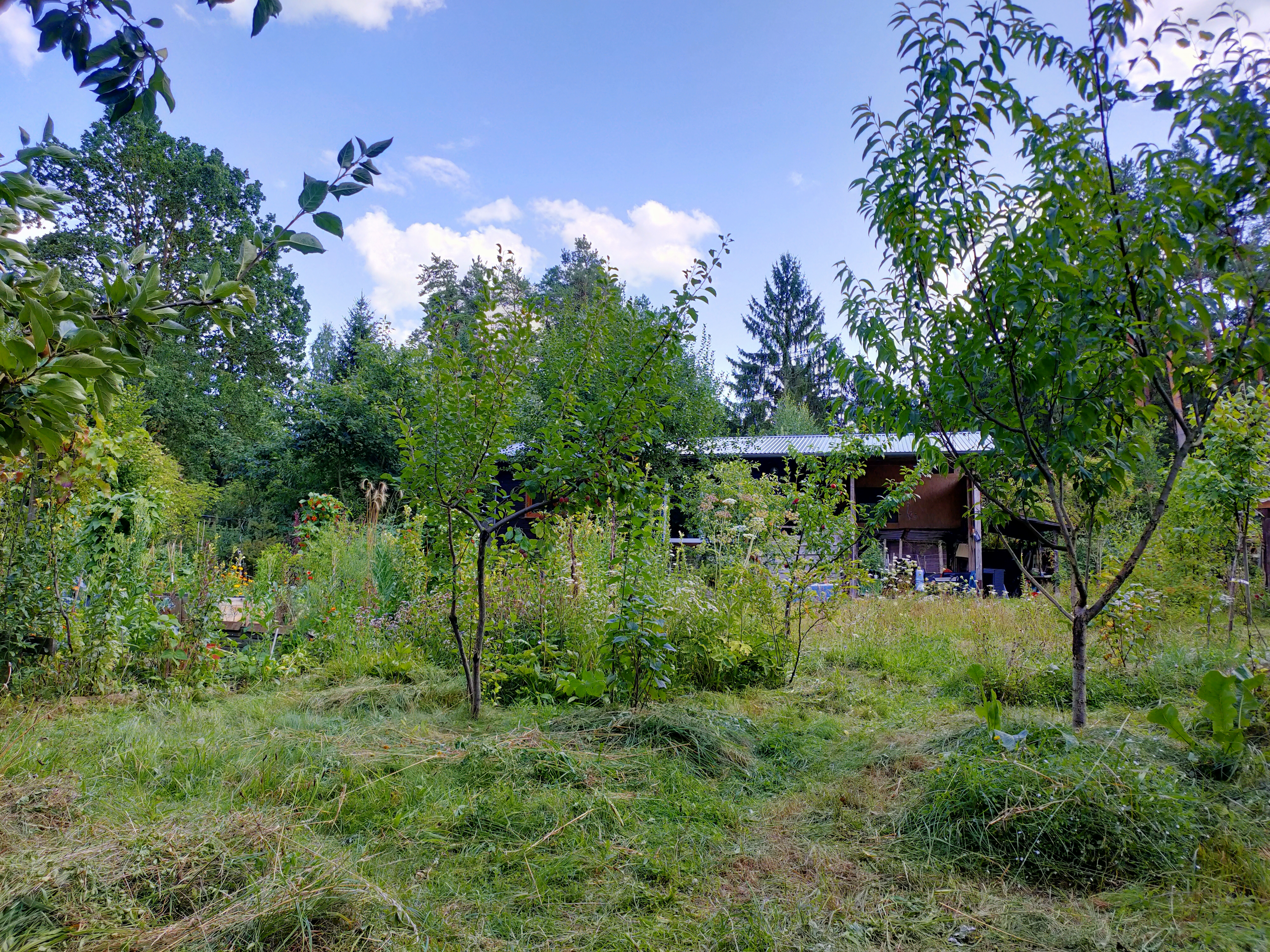 Eine Gruppe von Menschen bei einer gemeinsamen Aktion im Waldgarten