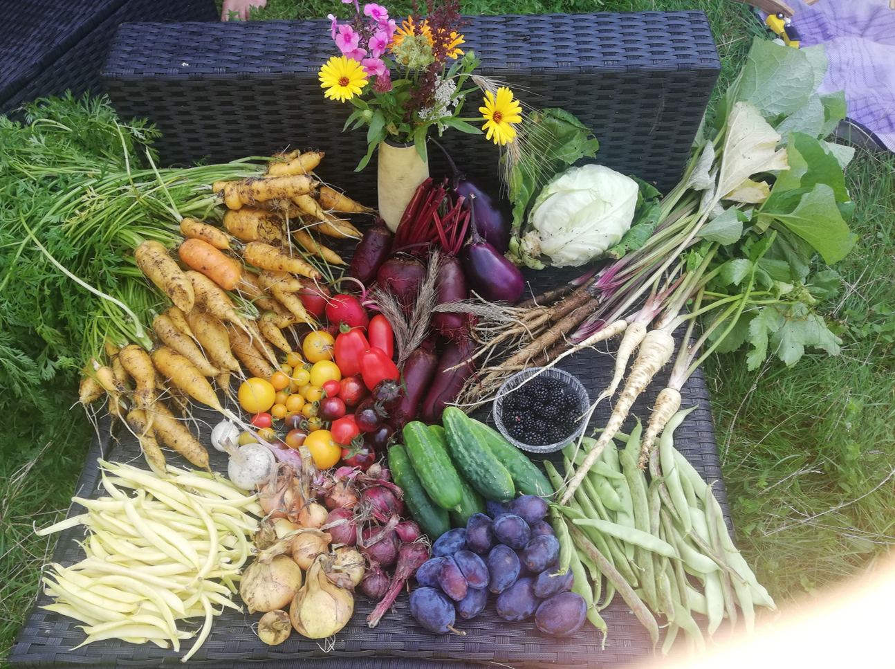 Eine vielfältige Ernte aus dem Waldgarten mit Gemüse, Obst und Blumen