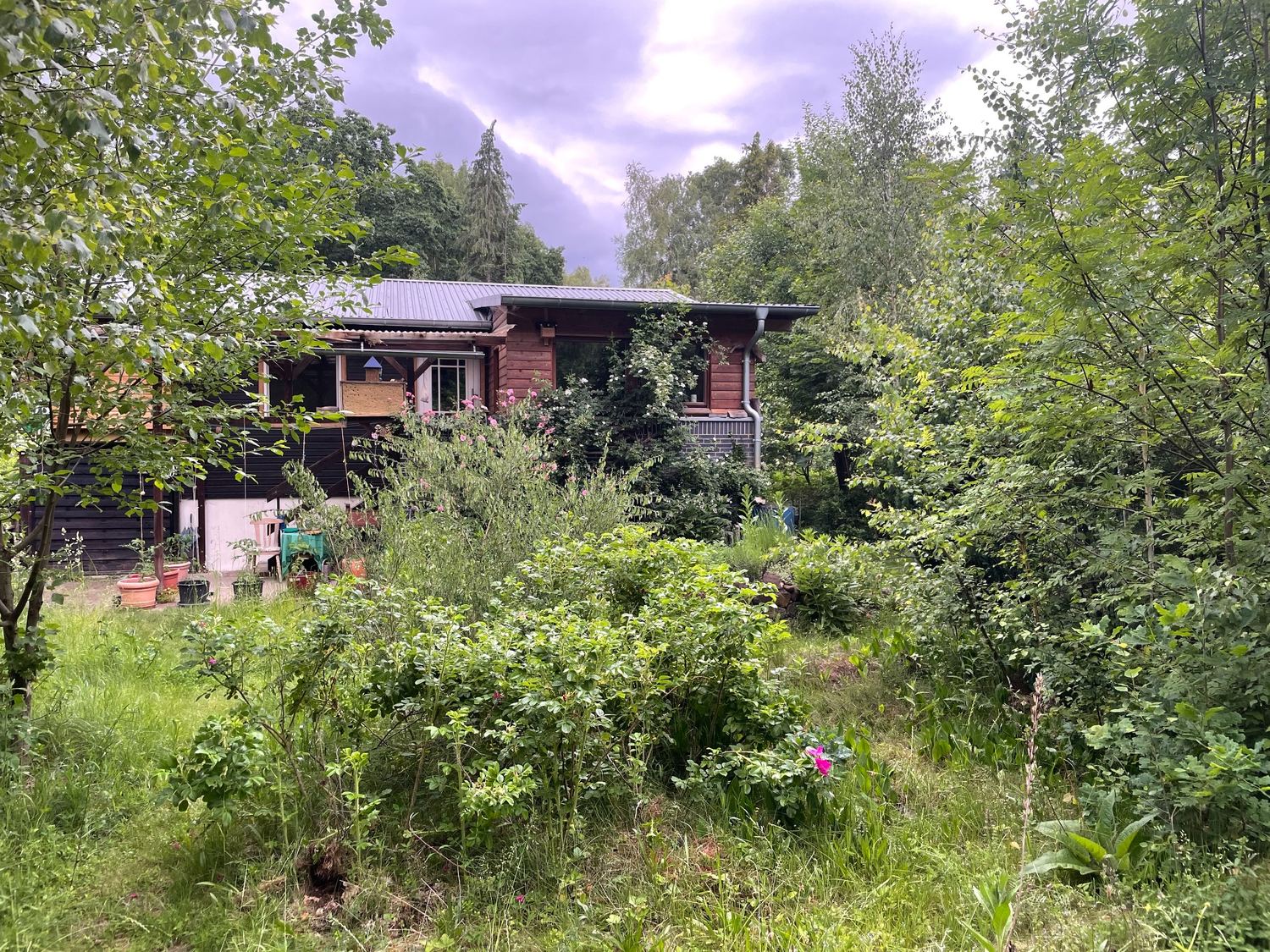 Das Haus des Waldgartens zwischen Sträuchern und Bäumen